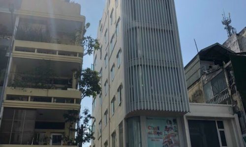 Chính chủ cần Cho thuê tòa nhà Văn Phòng Số nhà: 111 Nguyễn Bỉnh Khiêm, P. Đa Kao, Q. 1.