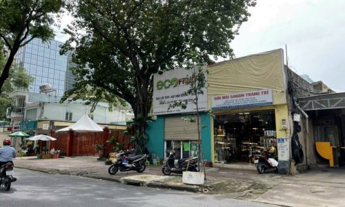 CHUYỂN NHƯỢNG QUỸ ĐẤT 9 MẠC ĐĨNH CHI, PHƯỜNG BẾN NGHÉ, QUẬN 1, TP.HCM.