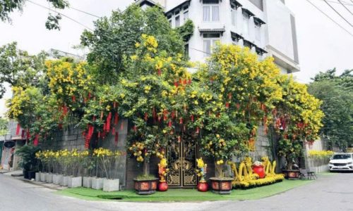 🔴 Bán gấp Biệt Thự góc 2 mặt tiền đường đẹp Thất Sơn Cư Xá Bắc Hải Phường 15 Quận 10.